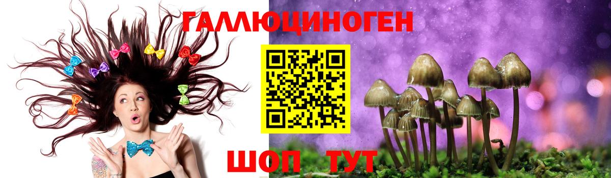 Кушва  Псилоцибиновые грибы Psilocybe  Вход с VPN 